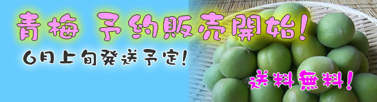ͽ�����䳫�ϡ��������䡪